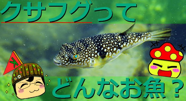 Thumbnail of post image 167